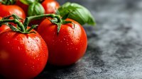 Fresh ripe red tomatoes with water drops and green basil leaves on dark stone background, macro shot with selective focus and copy space.