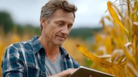 Caucasian male farmer in plaid shirt using digital tablet while inspecting corn crop in agricultural field during harvest season at golden sunset.
