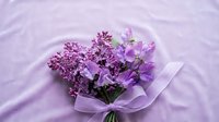 Fresh purple lilac flowers wrapped in delicate tissue paper on soft fabric background for spring celebrations and romantic occasions.
