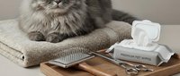 Fluffy gray cat relaxing on beige cushion with grooming supplies including brush, scissors and pet wipes on wooden tray for professional pet care routine.