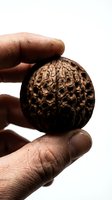 Close-up of male hand holding a whole black walnut with textured dark shell against white background, showcasing natural organic nut harvest.