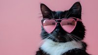 Adorable black and white kitten wearing pink heart-shaped sunglasses on pastel pink background, perfect for Valentine's Day designs and cute pet themes.