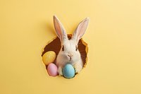 White bunny peeking through round hole in yellow wall with colorful Easter eggs, isolated on pastel background. Creative holiday composition for seasonal design.