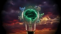Glowing lightbulb with neon green brain inside against dramatic sunset sky with floating botanical elements and circuit symbols for innovation concepts.
