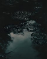 Raindrops creating concentric circles on dark water surface with moody sky reflection, capturing serene natural pattern in minimalist composition.