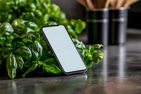 Modern smartphone with blank white screen leaning against fresh basil plant on dark kitchen counter, black storage containers in background, lifestyle setup.