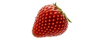 Fresh ripe strawberry with green stem isolated on white background, ready for food and beverage design projects.