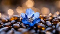 Vibrant blue flower blossom on coffee beans background with soft bokeh lights creating magical atmosphere. Artistic macro photography for cafe decor.