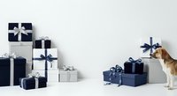 Dog looking at wrapped gift boxes with navy blue and white ribbons on white background, suitable for holiday greeting cards and seasonal marketing materials.