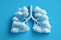 Creative anatomical lungs formed by white fluffy clouds and bronchial tree branches on blue background, representing clean air and respiratory health concept.