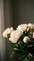 Elegant white peony flowers with lush green foliage in soft natural lighting creating romantic atmosphere for home decor and floral arrangements.