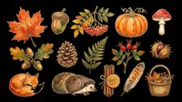 Autumn fall season collection with maple leaf, acorn, rowan berries, pumpkin, mushroom, oak leaves, pinecone, fern, rosehip, hedgehog, cinnamon sticks, feather and harvest basket isolated on transparent background. Ready for t-shirt designs, clipart, stickers and print-on-demand projects.