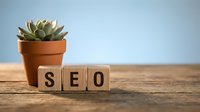 Wooden blocks spelling SEO on a rustic table beside a potted succulent, symbolizing digital marketing and search engine optimization strategy.