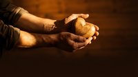 Hands gently holding fresh walnuts in warm golden light showcasing natural organic nuts for healthy eating and nutrition concepts.