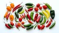 Colorful assortment of fresh hot chili peppers in various shapes and sizes scattered on white background. Spicy cooking ingredients for culinary recipes.