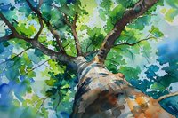 Looking up through branches of tall birch tree with green summer foliage against blue sky, watercolor painting style showing trunk detail and dappled sunlight through leaves.