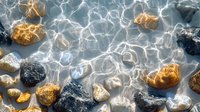 Sunlit water ripples over smooth river rocks creating mesmerizing light patterns. Natural golden and dark stones beneath crystal clear flowing stream surface.