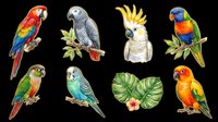 Colorful tropical parrots clipart set isolated on transparent background, ready for t-shirt design, stickers, print on demand, sublimation, and digital crafts.