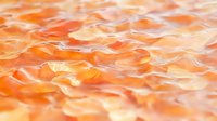Soft focus macro of delicate peach and orange rose petals creating an abstract natural pattern with gentle waves and layered organic textures.