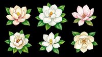 Watercolor magnolia flowers set with green leaves, isolated on transparent background. Six blooms in white, pink, and cream tones. Great for stickers, sublimation, and t-shirt design.