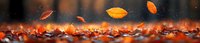 Falling autumn leaves floating in mid-air against blurred background of orange foliage on ground. Magical seasonal nature photography with bokeh effect.