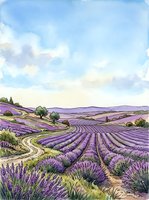 Lavender field landscape with rolling hills, winding path, and scattered trees under blue sky with white clouds, watercolor style artwork for nature, agriculture, and countryside design projects.