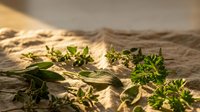 Fresh green herbs scattered on rustic burlap fabric with warm natural lighting creating shadows for culinary and cooking concepts.
