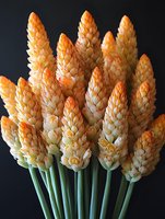 Orange and cream tropical ginger flowers in full bloom against dark background, fresh cut stems arranged in elegant bouquet formation.