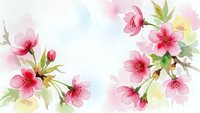 Watercolor cherry blossom branches with pink flowers and green leaves on white background, spring floral design for greeting cards and decorations.