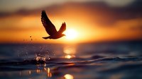 Silhouette of bird taking flight over water surface with splashing droplets against dramatic orange sunset sky and glowing sun reflection on rippling waves.