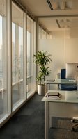 Modern office interior with large windows, natural light, potted plant and minimalist desk setup for professional workspace design.
