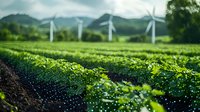 Agricultural field with modern wind turbines on horizon, green crop rows with water droplets glistening in morning light against mountain landscape background.