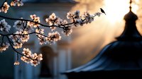 Delicate cherry blossoms branch against sunset sky with silhouette of oriental pagoda roof and small bird creating peaceful Asian garden atmosphere.