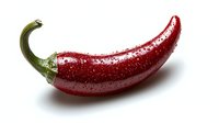 Fresh red chili pepper with water drops on white background, macro shot showing texture and glossy surface. Isolated food photography for culinary designs.