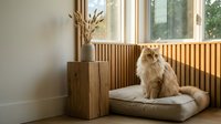 Fluffy cream cat sitting on a cushion by a sunlit window with wooden slat wall and dried grass in a vase, cozy minimalist interior.