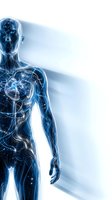 Futuristic digital human silhouette with glowing blue neural networks and energy patterns flowing through transparent body for technology concepts.