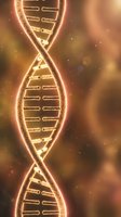 Glowing golden DNA helix with neon light effect on warm bokeh background, representing genetic research, biotechnology, and molecular science concepts.
