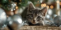 Adorable tabby kitten peeking through Christmas decorations with silver ornaments and twinkling lights creating festive holiday atmosphere.