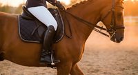 Equestrian rider in white breeches on brown horse during golden hour sunset training session. Professional dressage equipment and saddle visible in warm lighting.