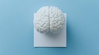 White anatomical brain model on light blue background with soft shadow, minimalist medical concept for neuroscience, psychology and mental health studies.