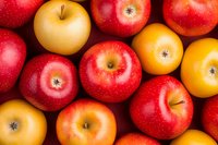 Fresh red and yellow apples background, top view. Ripe organic fruit pattern showing natural color variation and texture, suitable for healthy eating concepts.