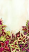 Colorful coleus plants with vibrant magenta and lime foliage arranged at bottom border on soft watercolor background, isolated design element for botanical projects and garden themes.
