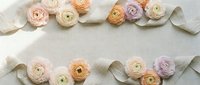 Delicate ranunculus flowers in soft pastel colors arranged with flowing silk ribbon on white background for wedding invitations and romantic designs.