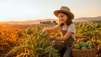 Young Caucasian woman in straw hat harvesting fresh artichokes in a sunlit farm field at golden hour, wicker basket nearby.