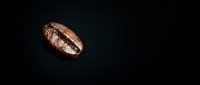 Single roasted coffee bean with natural crack on dark black background for cafe branding and beverage marketing materials.