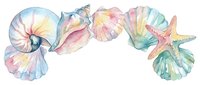 Watercolor seashells and starfish arranged in decorative arc on transparent background, perfect for coastal design projects, invitations, and marine-themed graphics.
