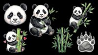 Adorable panda characters with bamboo leaves isolated on transparent background. Ready for t-shirt designs, stickers, clipart, sublimation, print-on-demand products, and digital crafts.