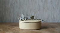Minimalist wooden round box with eucalyptus branch on rustic table against textured wall. Natural home decor storage container for jewelry organization.