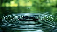 Mesmerizing water drop splash creating concentric ripples on dark green water surface with floating droplets captured in macro photography detail.