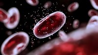 Red blood cells floating in plasma with oxygen bubbles against dark background, microscopic medical visualization showing erythrocytes in circulatory system.